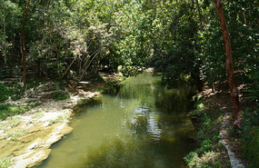 Banos del San Juan5