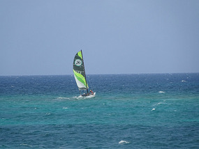 Surfer