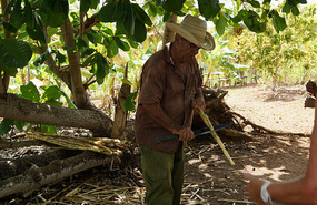 Farm13