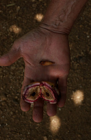 Farm18