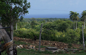 Farm2
