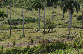 Farm23