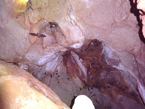 Caves23