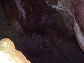 Caves24