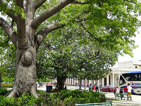 Cienfuegos11