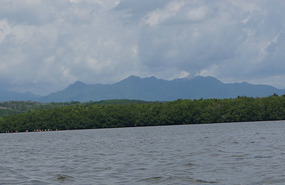 Flamingo Lagune19