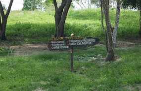 Flamingo Lagune5