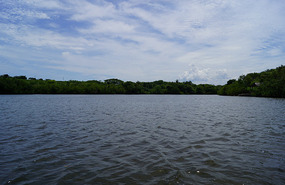 Flamingo Lagune7