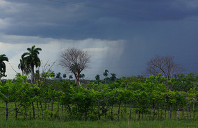Gewitter1