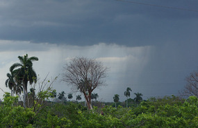 Gewitter2