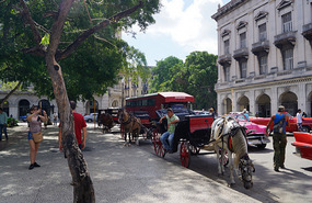 La Habana Vieja25