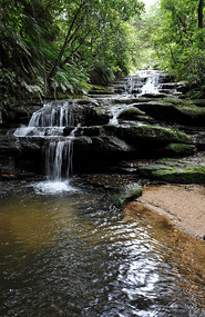 Leura Cascades 2