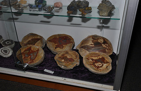 dragoceni kamni