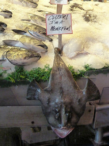 Pike Place Market fish 2