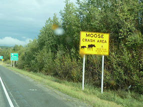 Moose warning