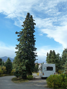 A beautiful day at Savage River