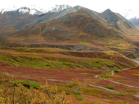 Beautiful tundra
