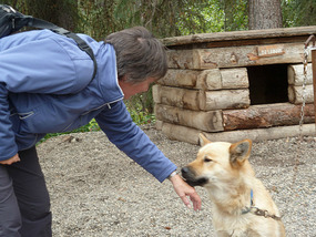 I voluntarily touched a dog!