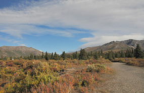 Mountain Vista trail