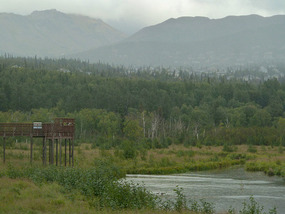 Potter Marsh Bird Sanctuary