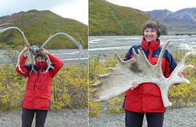 Very heavy antlers!