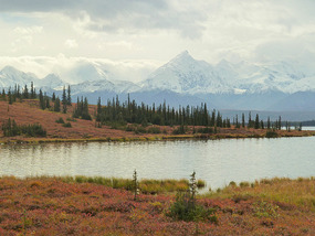 Wonder Lake