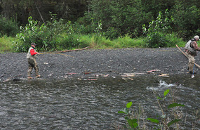 Salmon fishermen