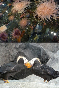 Sea Life Centre