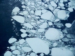 Greenland ice floes