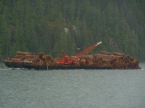 Raft of logs being towed