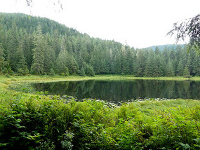Ward Lake