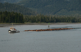 Barge towing logs
