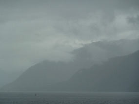 Foggy waters