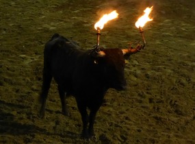 Fire Bull
