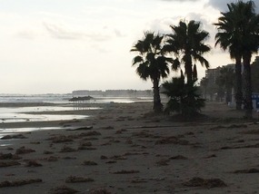 After the storm