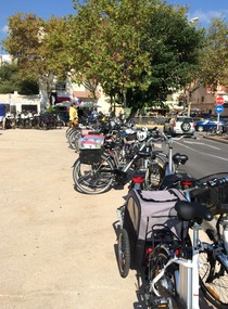 Bikes at the market