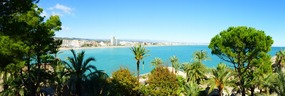 View from Palm Garden