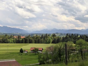 View of the Alps
