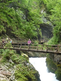 Gorge bridge