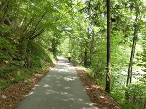 Woodland glades