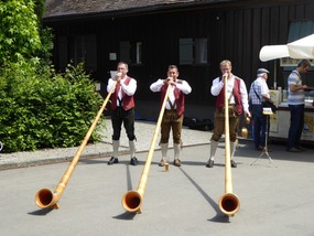 Alpenhorn band