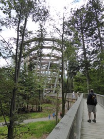 Baumwipfelpfad tower