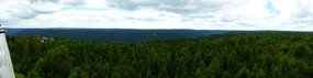 The aptly named Black Forest