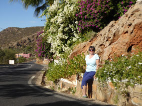 Bougainvillea on the roadside