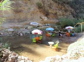 Natural fish spa cafe