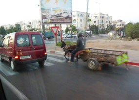 Ancient & modern in Agadir