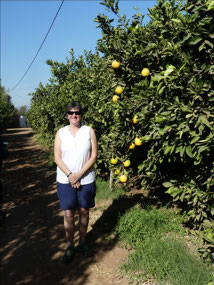 At the Clementine orchard