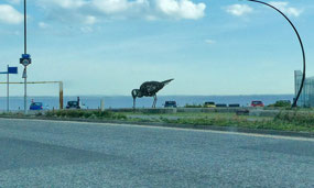 Oystercatcher sculpture