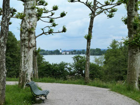 View to Frauen Insel