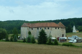 Horses tethered at the castle